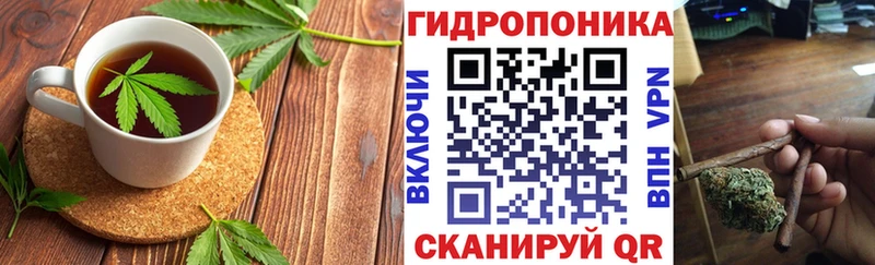 Canna-Cookies марихуана  Кочубеевское 