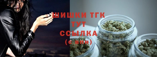 соль ск Дмитров