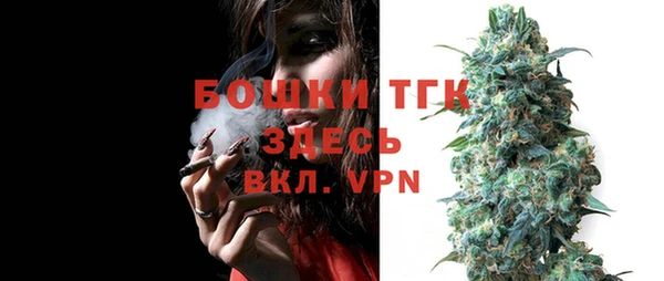 эйфоретик Дмитриев