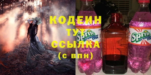 эйфоретик Дмитриев